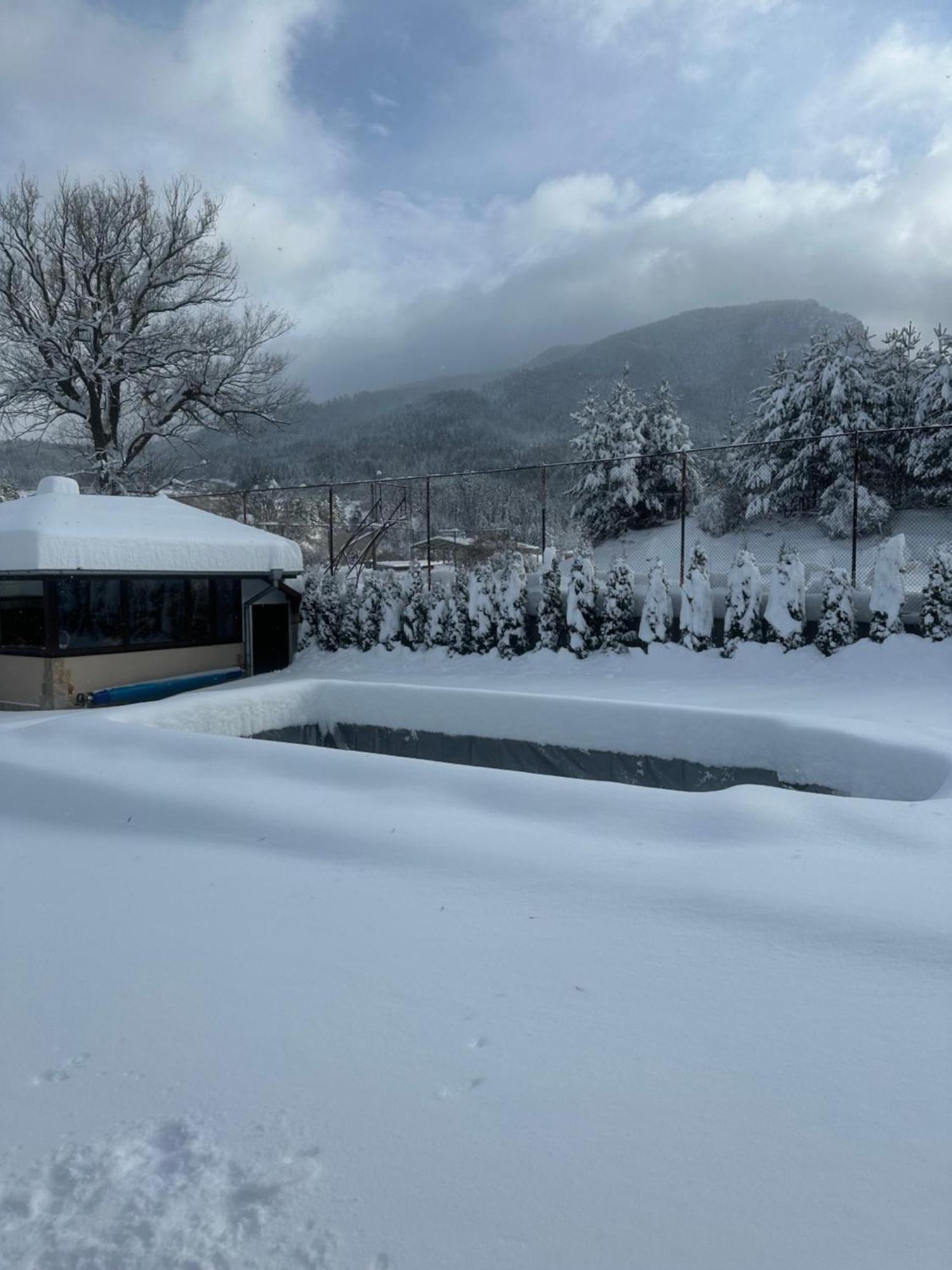 Villa Paradise 贝利伊斯库尔 外观 照片